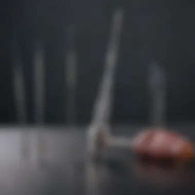 Illustration depicting various types of oral gavage needles used in research.