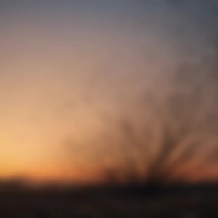 A flock of starlings creating mesmerizing shapes in the sky