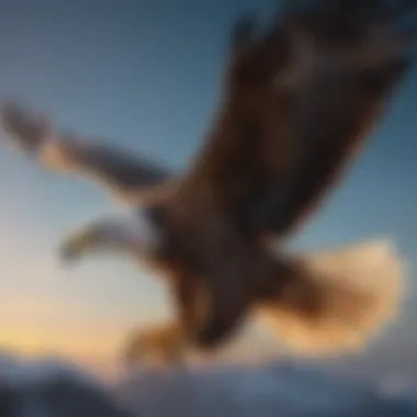 Majestic Eagle in Flight A majestic eagle soaring high in the sky, symbolizing freedom.