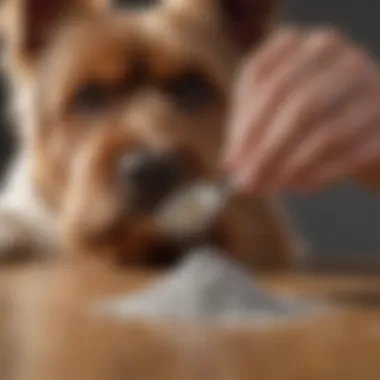 A close-up view of a pet owner measuring powdered vitamins with a scoop