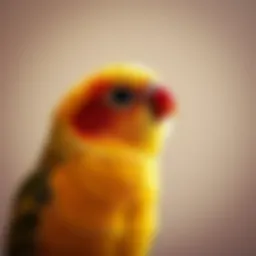 Exploring the Dynamics of Human-Animal Relationships: A Focus on Companion Birds Introduction