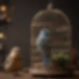 A comparison of metal bird cages showcasing various designs and finishes.