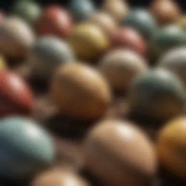 A comparison between real finch eggs and fake versions