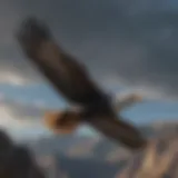 A majestic condor soaring through the sky, showcasing its impressive wingspan.