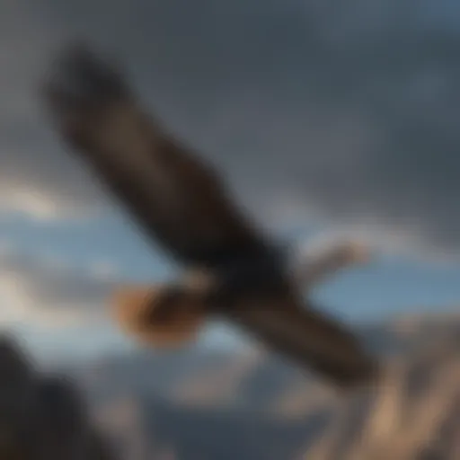 A majestic condor soaring through the sky, showcasing its impressive wingspan.