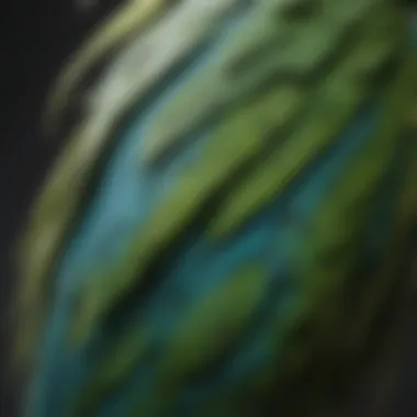 Close-up of a parakeet's feathers