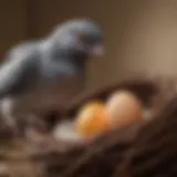 Illustration of a pet bird interacting with a fake pigeon egg in its nest