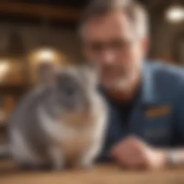 Owner Discussing Care for Chinchilla Chinchilla owner discussing care with a vet