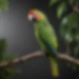 A vibrant green parrot perched on a branch, showcasing its colorful feathers.