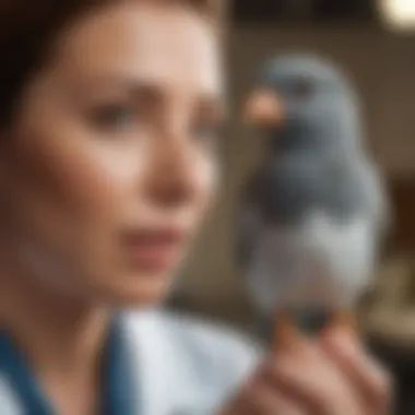 A veterinarian interacting calmly with a small bird, emphasizing the importance of trust in avian healthcare.