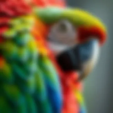 A close-up of a healthy macaw's feathers, highlighting their texture