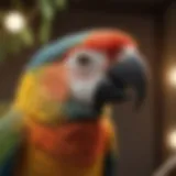 Close-up of a vibrant parrot perched on a branch.