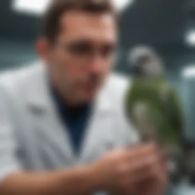 An avian veterinarian examining a bird in a clinic