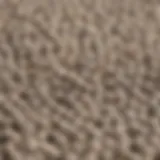Close-up of Mazuri High Calcium Gut Loading Diet pellets showcasing their texture and composition