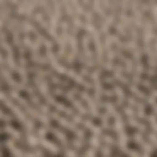 Close-up of Mazuri High Calcium Gut Loading Diet pellets showcasing their texture and composition