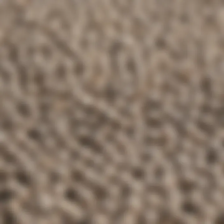 Close-up of Mazuri High Calcium Gut Loading Diet pellets showcasing their texture and composition