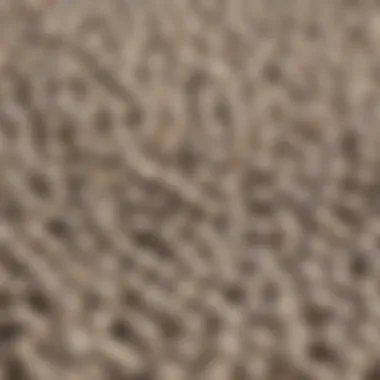 Details of Mazuri High Calcium Gut Loading Diet Pellets Close-up of Mazuri High Calcium Gut Loading Diet pellets showcasing their texture and composition