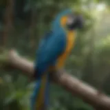 A vibrant blue macaw perched on a branch in a natural habitat