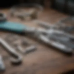 Veterinary surgical tools arranged neatly