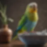 A vibrant parakeet drinking from a clean water bowl.