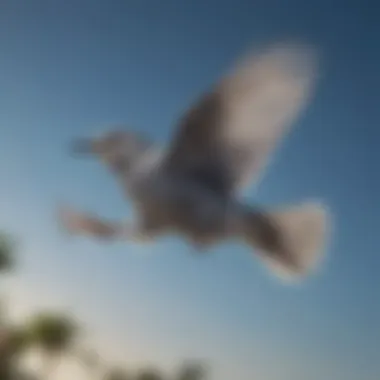 A small grayish bird in flight against a clear blue sky