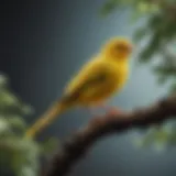 A vibrant canary perched on a branch, showcasing its bright plumage