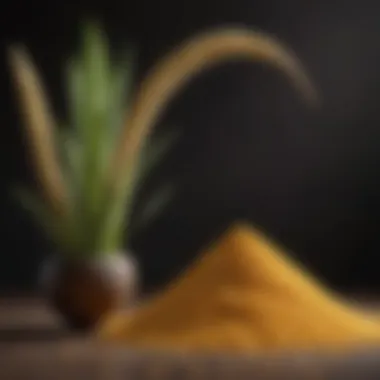High-Quality Millet Products on Amazon High-quality millet products available on Amazon