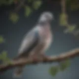 A serene dove perched gracefully on a branch