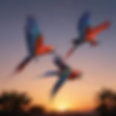 A group of macaws flying together against a sunset backdrop