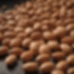 Nutritional benefits of almonds for liver health