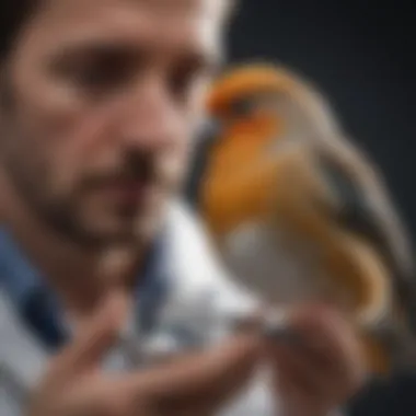 Veterinary Insights on Bird Nutrition A veterinarian examining a bird with a stethoscope, representing the professional guidance on avian nutritional needs