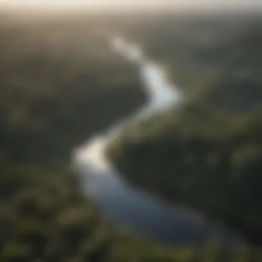 An aerial view of the Amazon rainforest showcasing its vastness.