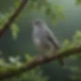 A little gray bird perched gracefully on a branch amidst lush greenery