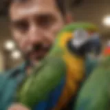 A close-up of a vibrant parrot perched on a veterinarian's shoulder.