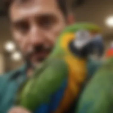 A close-up of a vibrant parrot perched on a veterinarian's shoulder.