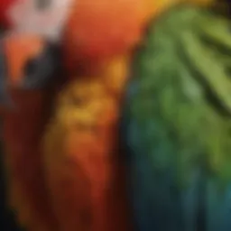 Close-up view of a parrot beak showcasing its unique structure