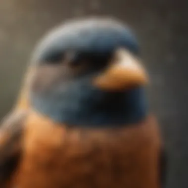 Close-up of bird dander particles highlighting the need for air purification