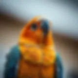 The Role of Avian Veterinarians in Charlotte, NC: Comprehensive Insights Introduction