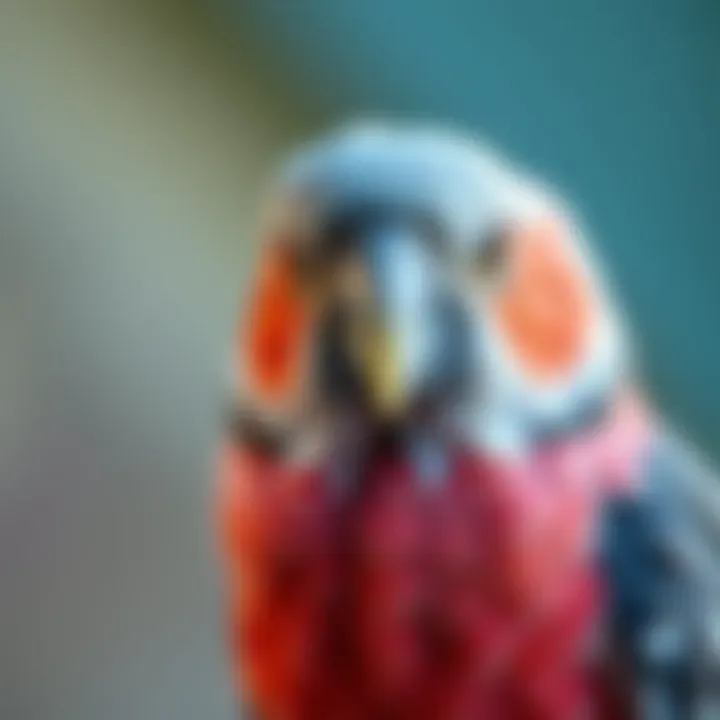 Notable The Role of Avian Veterinarians in Charlotte, NC: Comprehensive Insights
