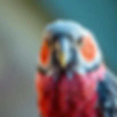 Notable The Role of Avian Veterinarians in Charlotte, NC: Comprehensive Insights Notable The Role of Avian Veterinarians in Charlotte, NC: Comprehensive Insights