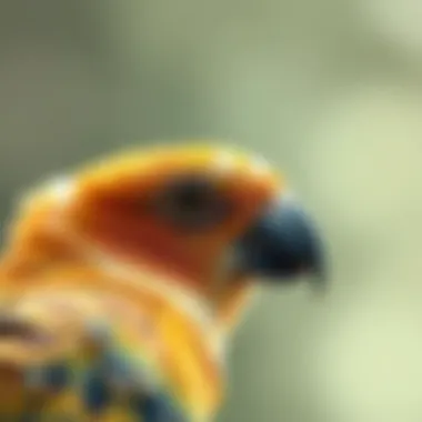 The Role of Avian Veterinarians in Charlotte, NC: Comprehensive Insights Summary The Role of Avian Veterinarians in Charlotte, NC: Comprehensive Insights Summary