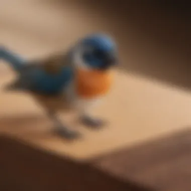 Types of Sandpaper for Bird Care Comparison of different types of sandpaper used for bird care