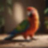 A vibrant parrot basking under natural sunlight, showcasing its colorful feathers.