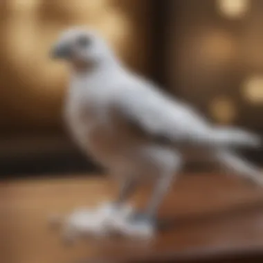 Diverse avian calcium supplements displayed on a table.