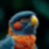 Understanding Avian Full Spectrum Light: Importance and Applications Introduction