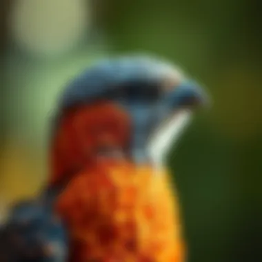 Understanding Avian Full Spectrum Light: Importance and Applications Summary Understanding Avian Full Spectrum Light: Importance and Applications Summary