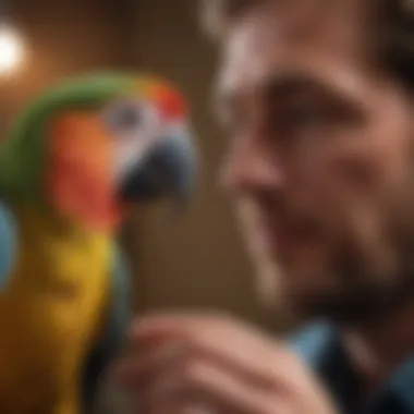 Close-up of an avian vet examining a parrot