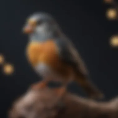Detailed View of Perch Texture and Design A close-up view of a bird perch demonstrating texture and design