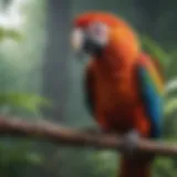 A vibrant macaw perched on a branch, showcasing its colorful feathers.