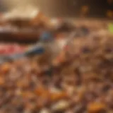 A vibrant array of seeds, fruits, and nuts that attract various bird species.